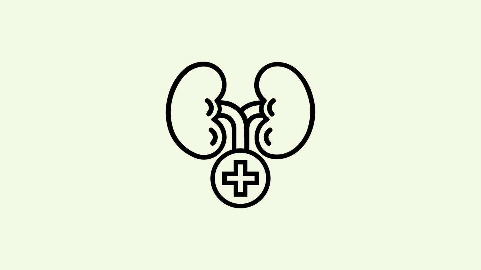 Njurmedicin